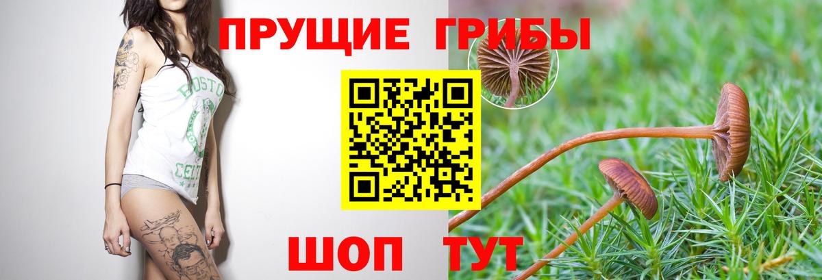 Галлюциногенные грибы мицелий Верхняя Салда